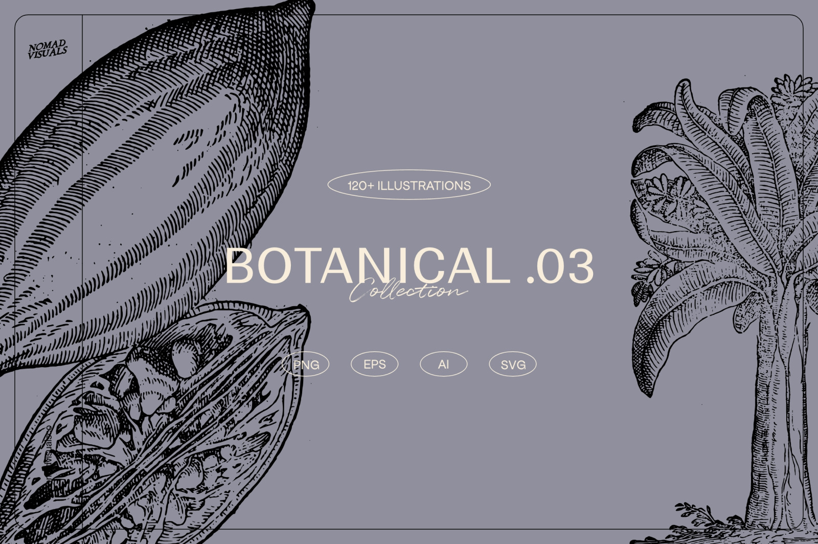 Botanical Collection Botanical Collection