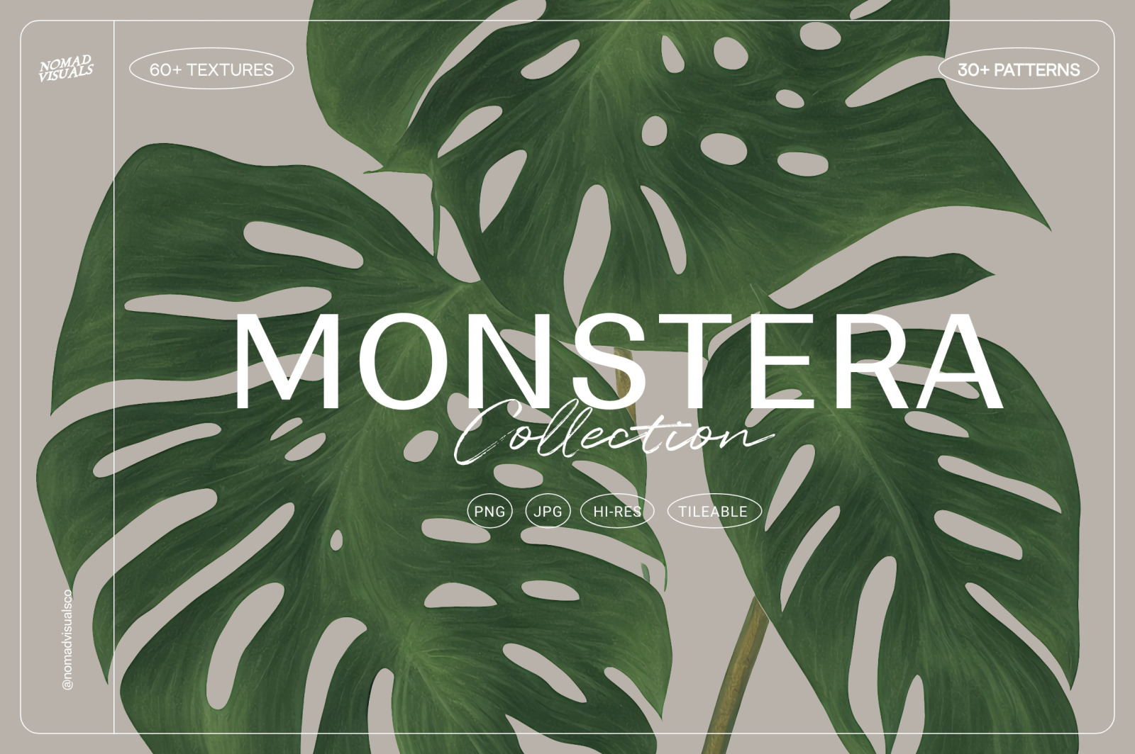 Monstera Tropical Collection