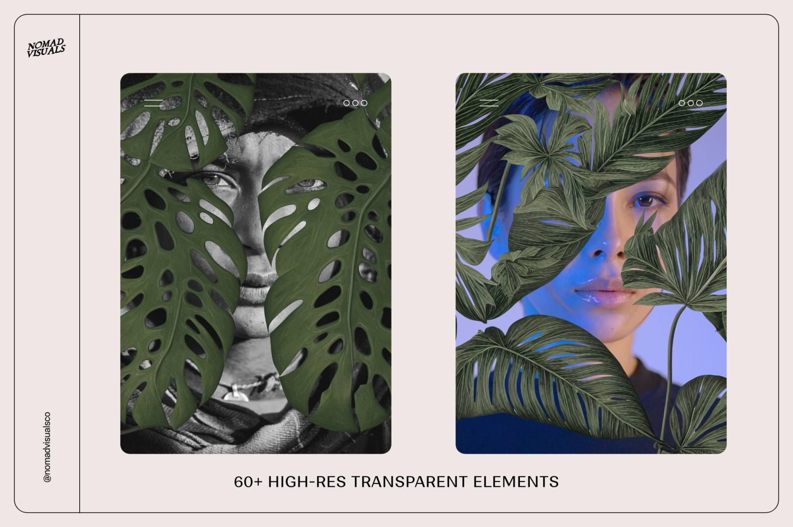 Monstera Tropical Collection Monstera Tropical Collection