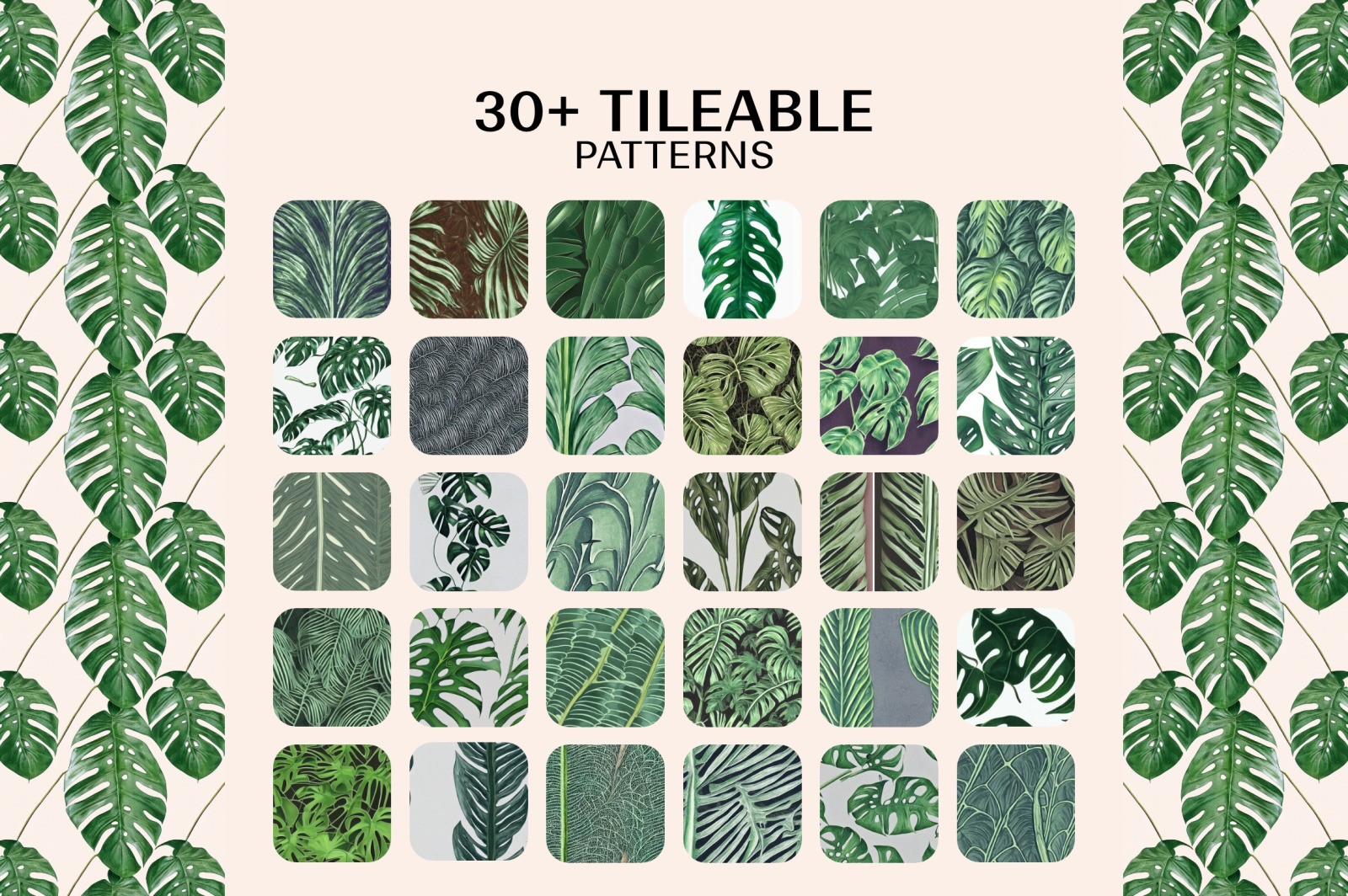 Monstera Tropical Collection Monstera Tropical Collection