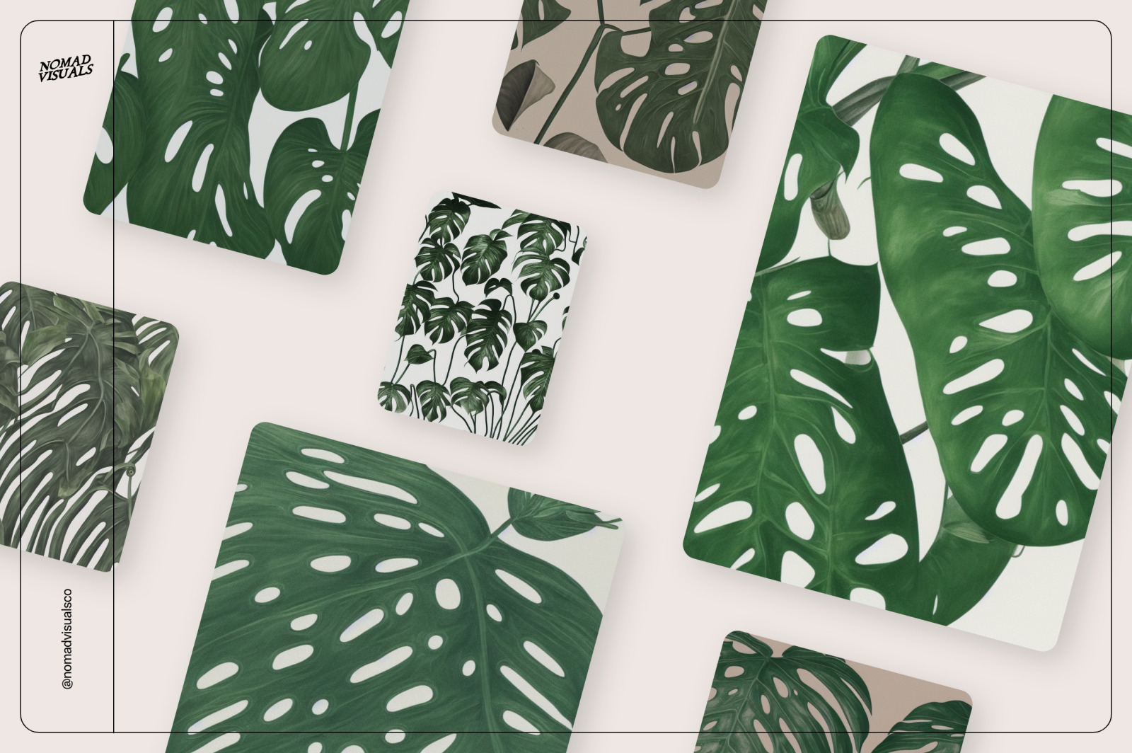 Monstera Tropical Collection Monstera Tropical Collection