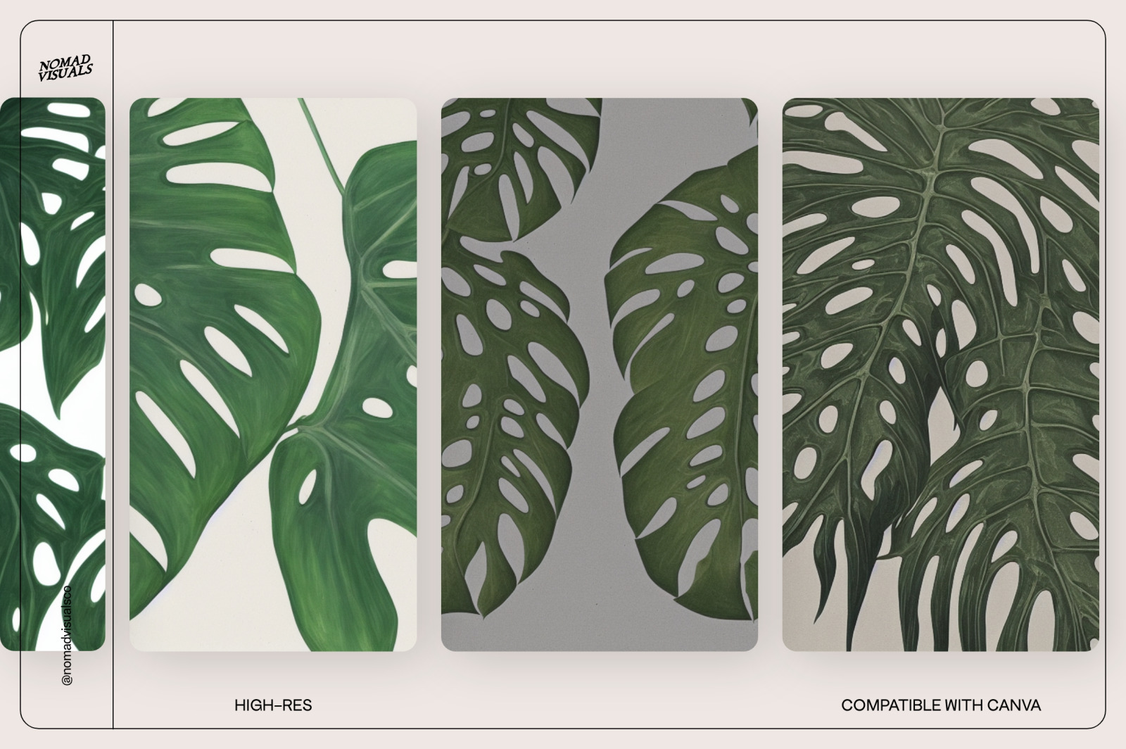 Monstera Tropical Collection