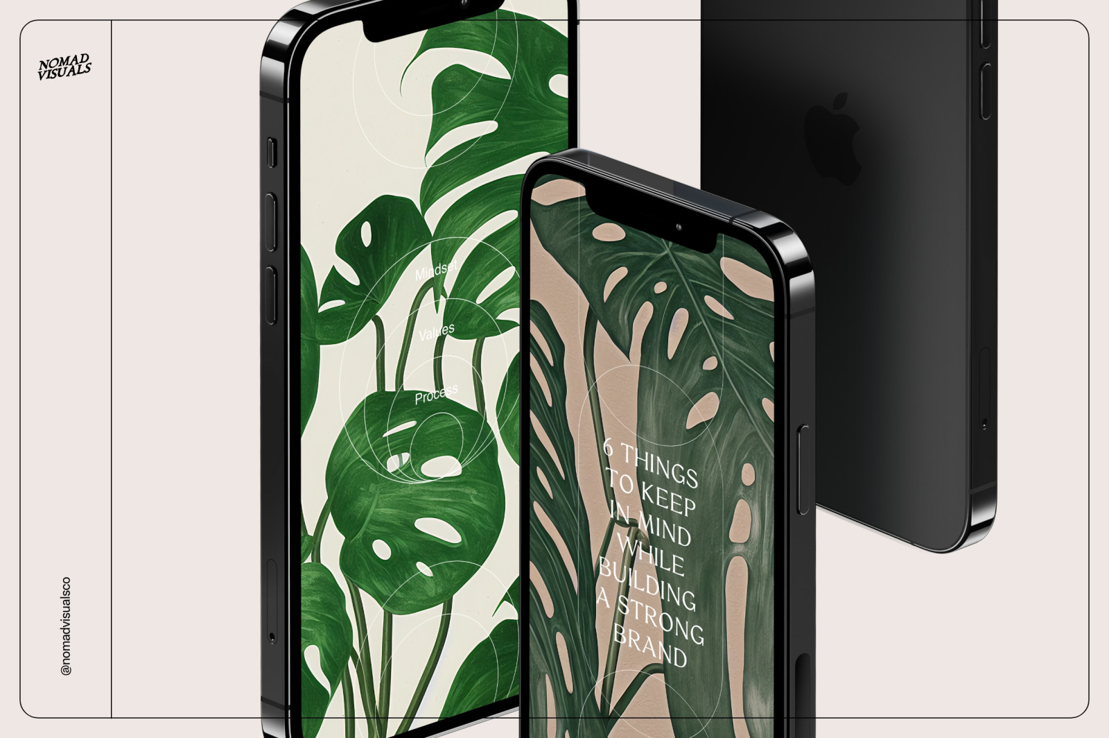 Monstera Tropical Collection Monstera Tropical Collection