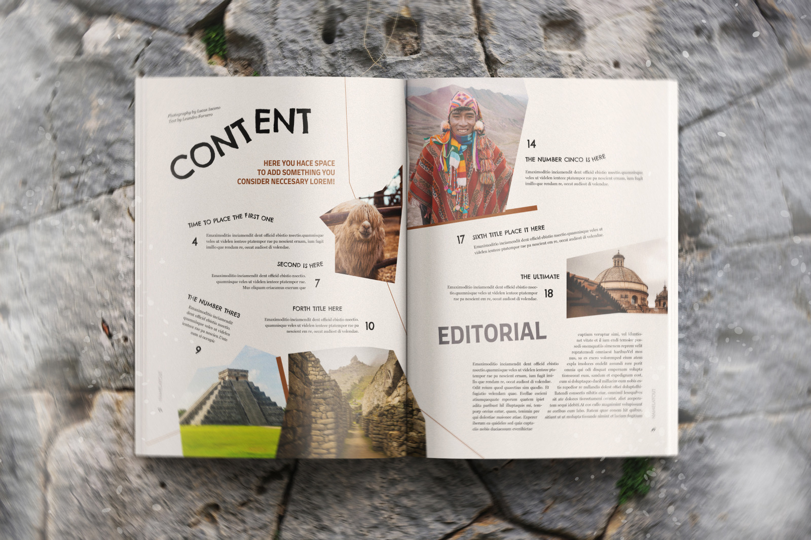 Earthquake Indesign Template Earthquake Indesign Template