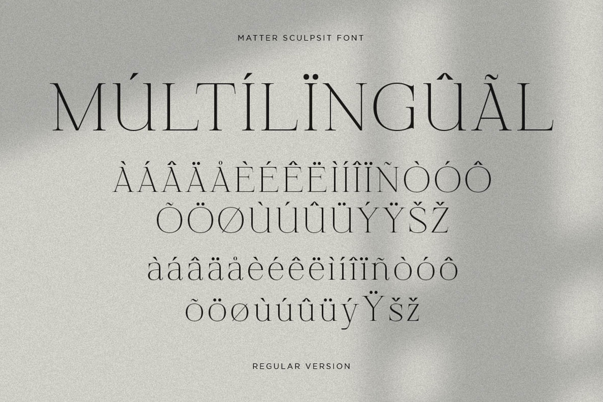 Matter Sculpsit | Modern serif