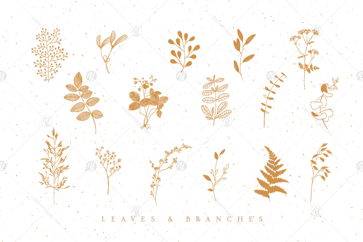 Leaf Branches Leaf Branches