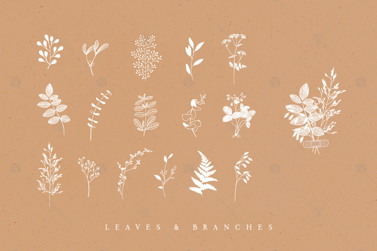 Leaf Branches Leaf Branches
