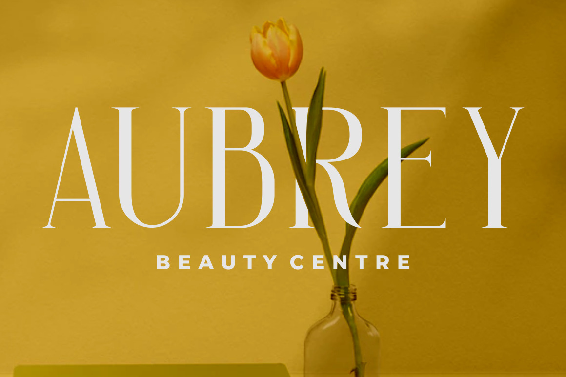 Arash - Vintage Serif Font Arash - Vintage Serif Font