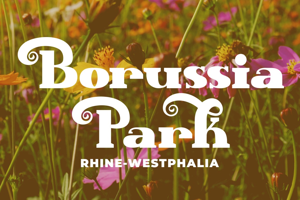 Glamiora - Bold Display Serif Font Glamiora - Bold Display Serif Font