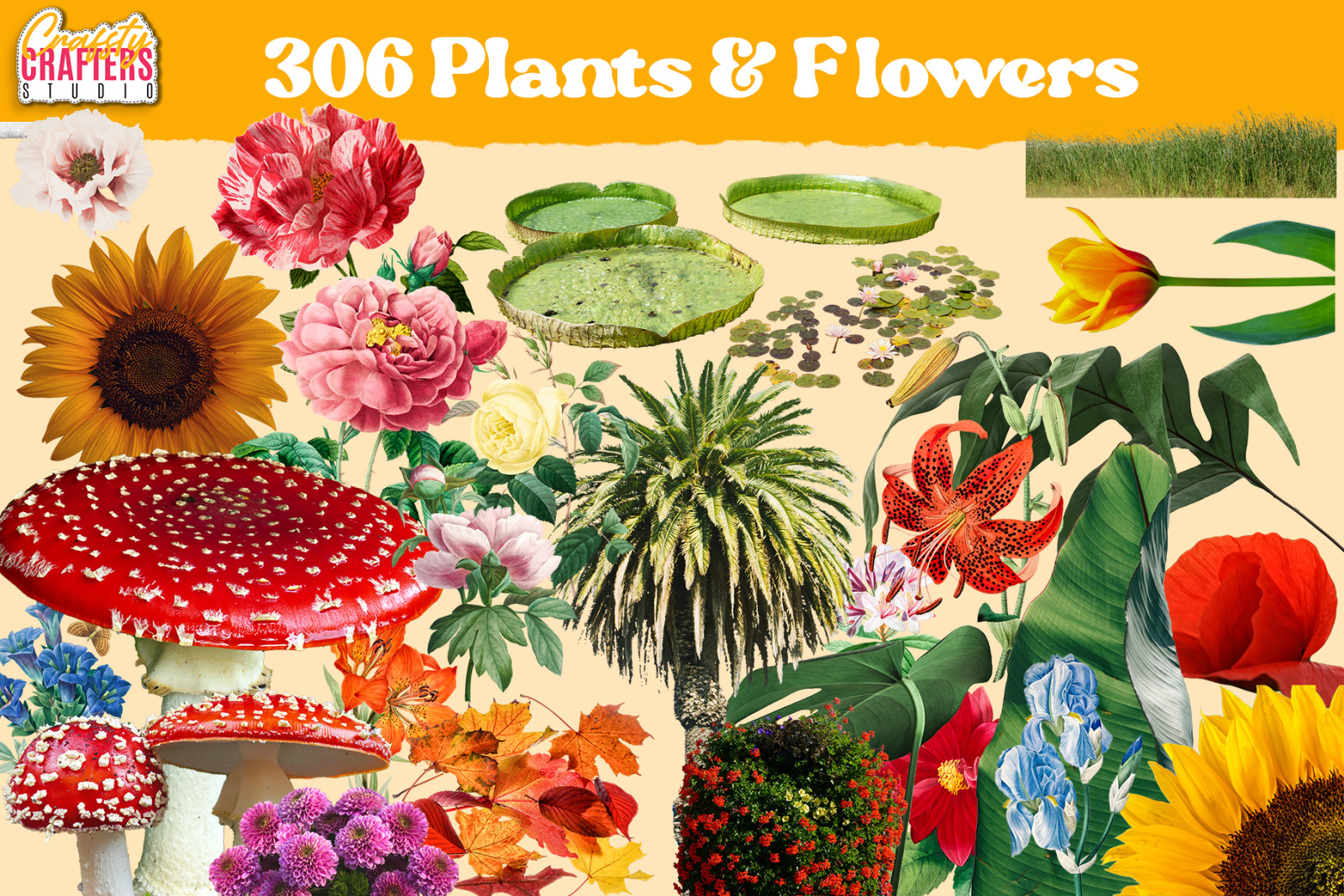 Vintage Collage Kit 2837+ Elements Vintage Collage Kit 2837+ Elements