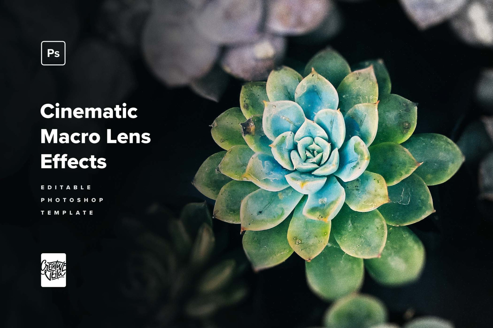 Cinematic Lens Photo Effects Pack