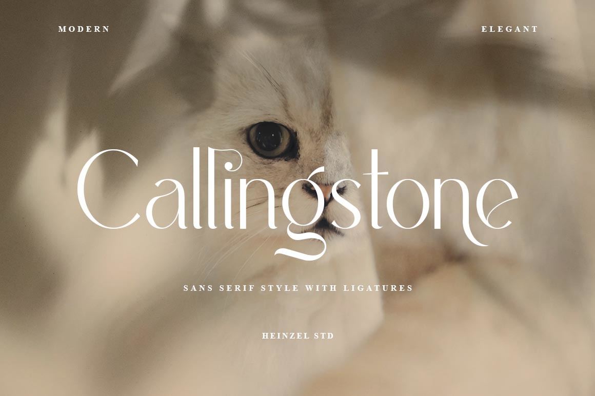 Callingstone - Modern Sans Serif