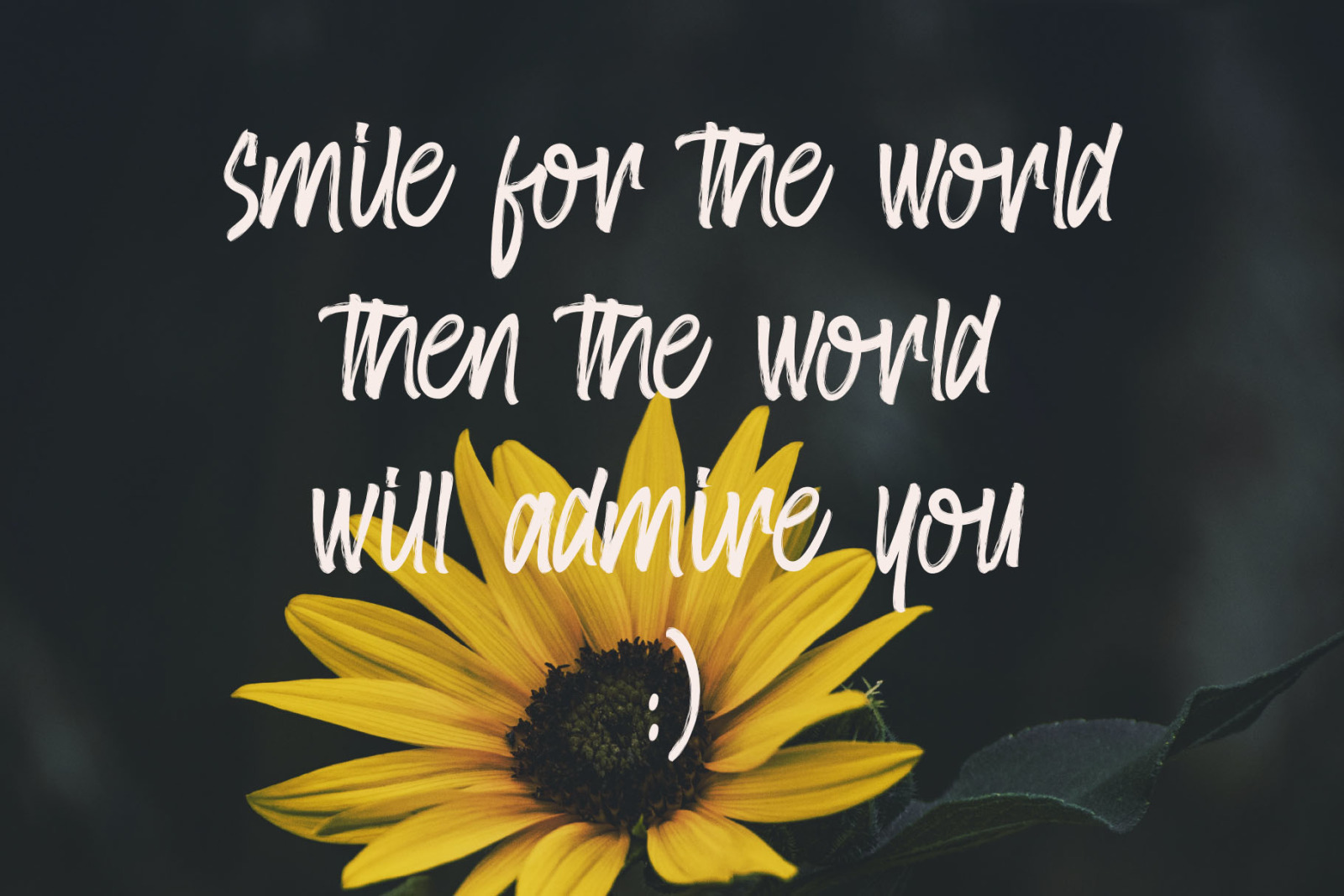 AmsterBrush Font AmsterBrush Font