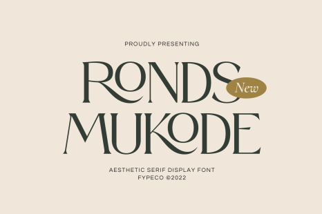 Ronds Mukode-Aesthetic Serif Font - Fonts