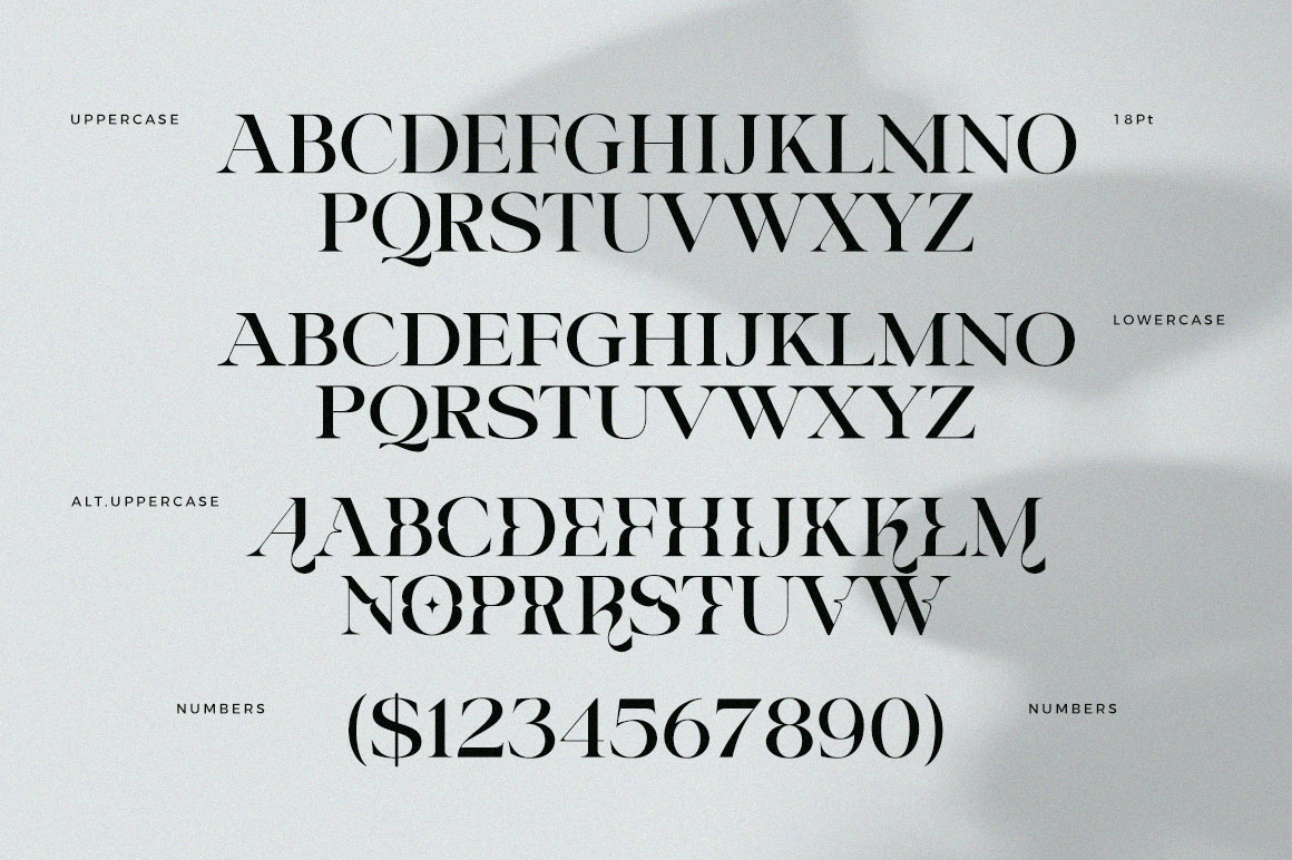 Riclose Font Duo