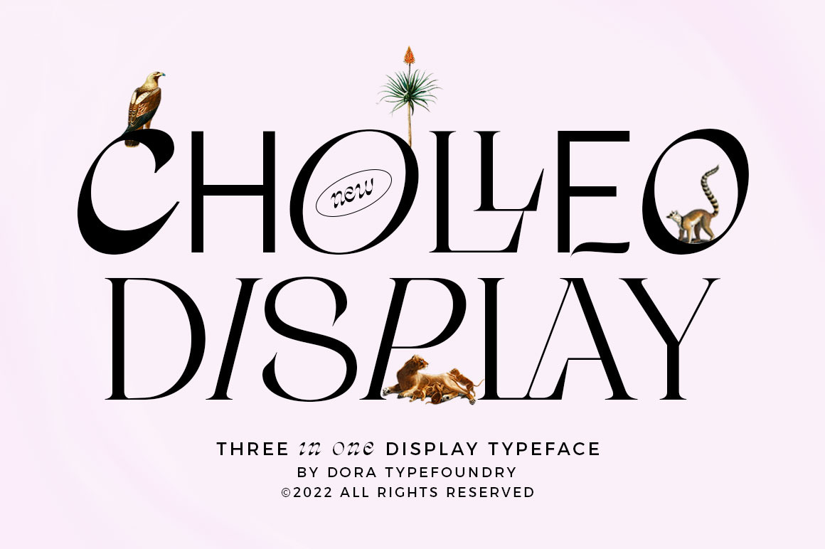 Cholleo Display Cholleo Display