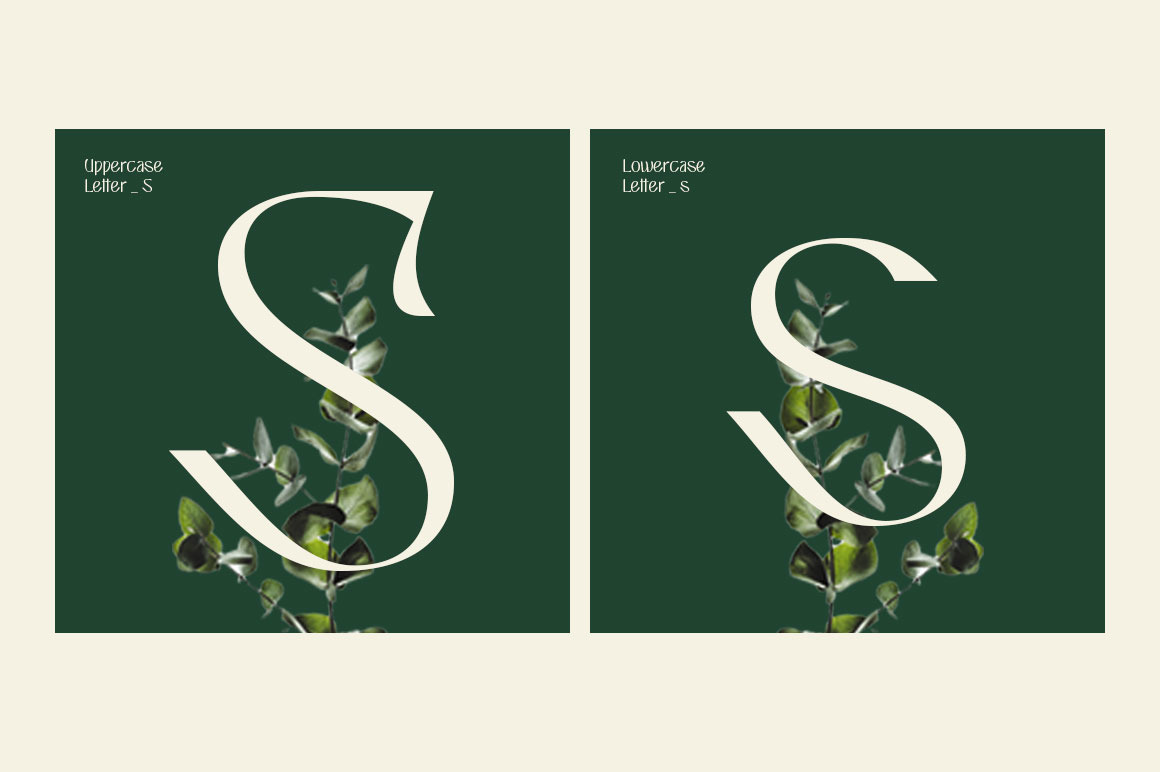Sispany Display Sispany Display