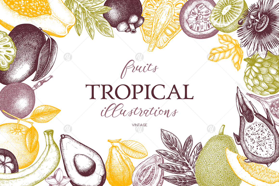 Tropical Fruits Collection Tropical Fruits Collection