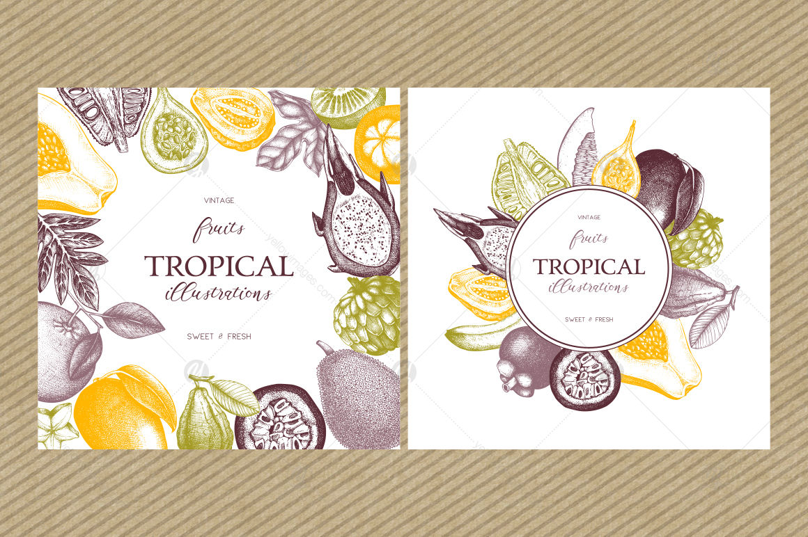 Tropical Fruits Collection Tropical Fruits Collection