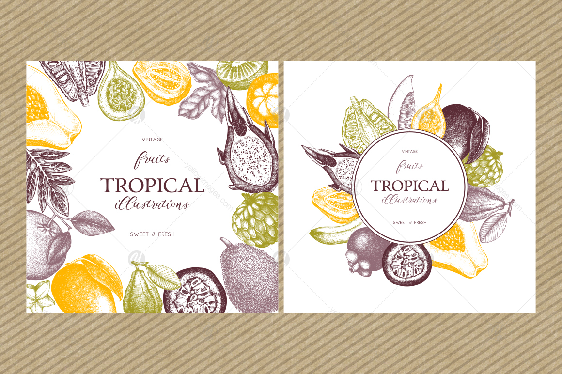 Tropical Fruits Collection