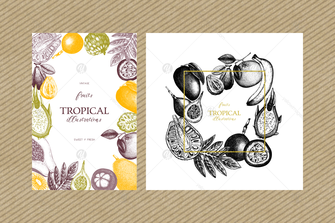 Tropical Fruits Collection Tropical Fruits Collection
