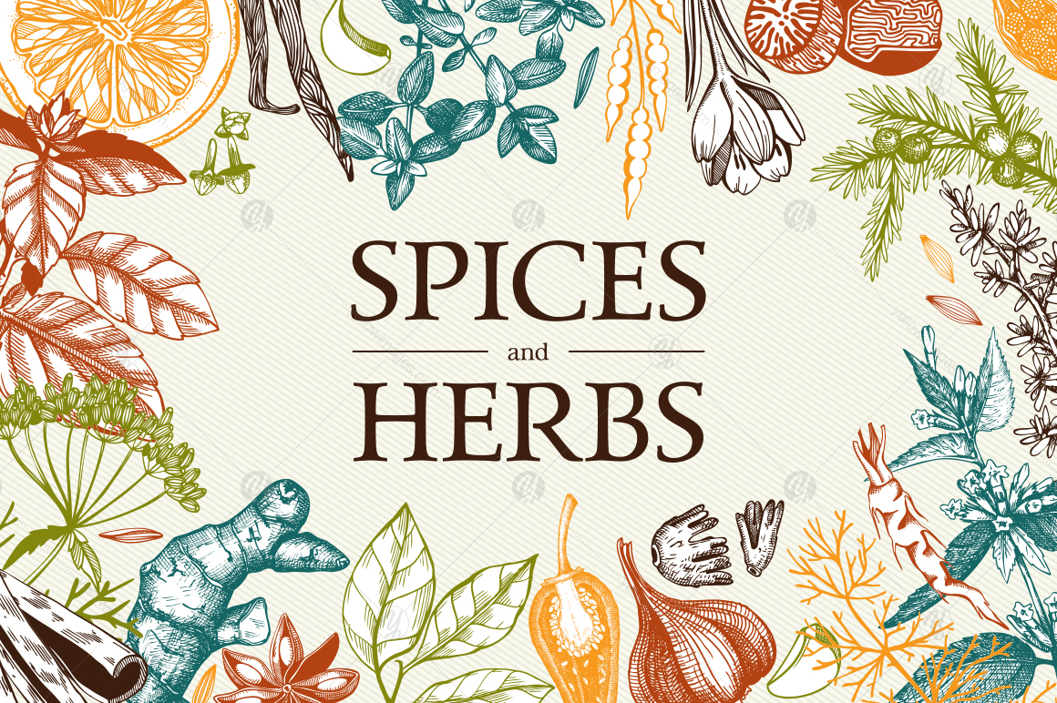 Ink Hand Drawn Spice Collection Ink Hand Drawn Spice Collection