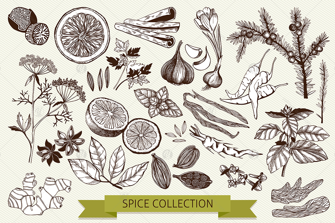 Ink Hand Drawn Spice Collection Ink Hand Drawn Spice Collection
