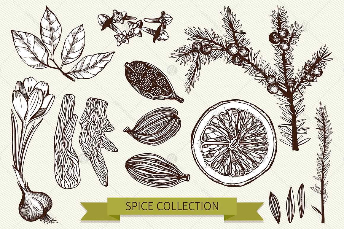 Ink Hand Drawn Spice Collection Ink Hand Drawn Spice Collection