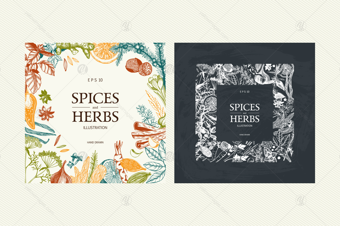 Ink Hand Drawn Spice Collection Ink Hand Drawn Spice Collection