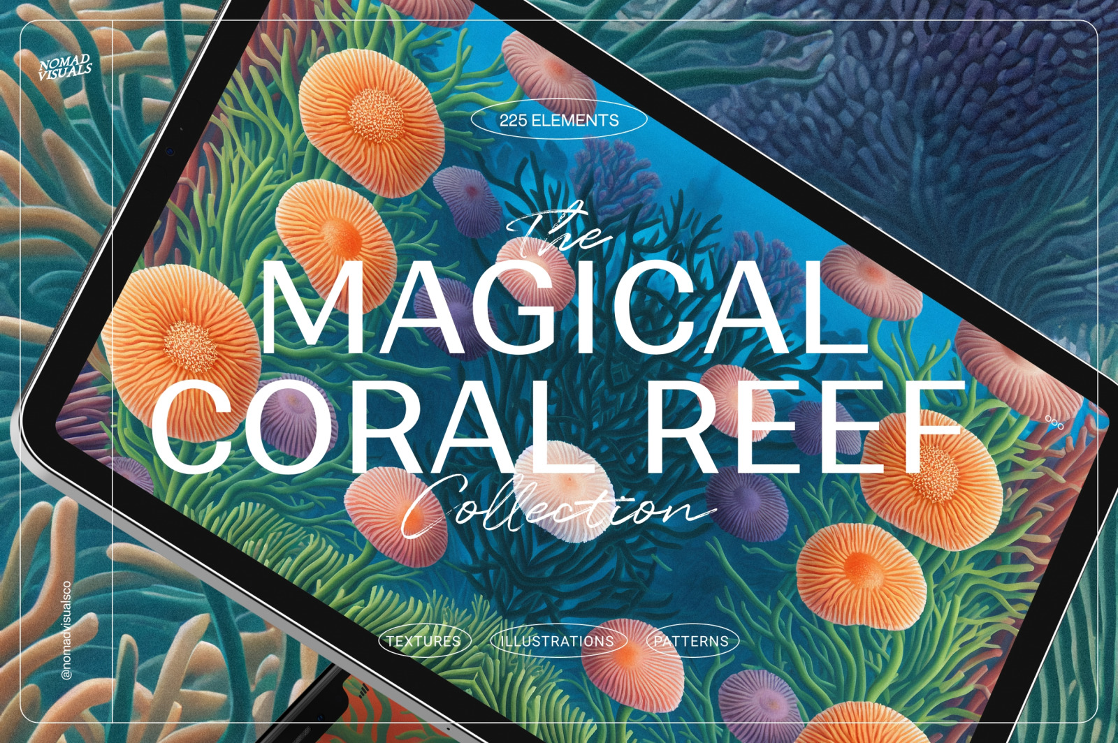 The Magical Coral Reef The Magical Coral Reef