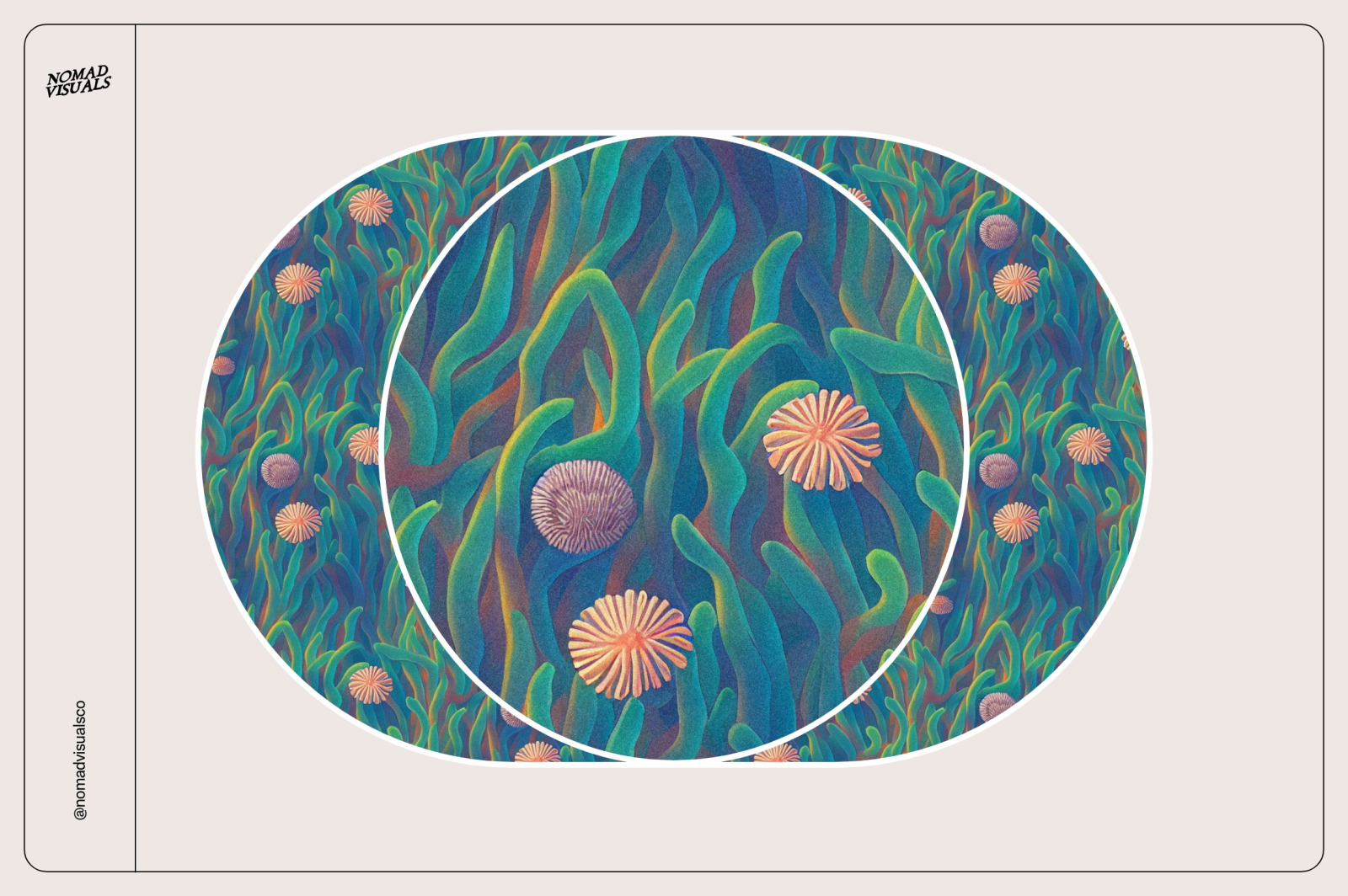 The Magical Coral Reef The Magical Coral Reef
