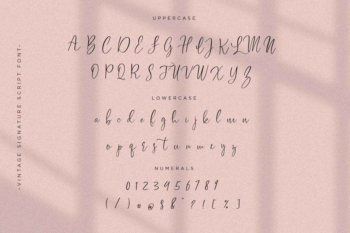 Sweet Bloom | Lovely Script Sweet Bloom | Lovely Script