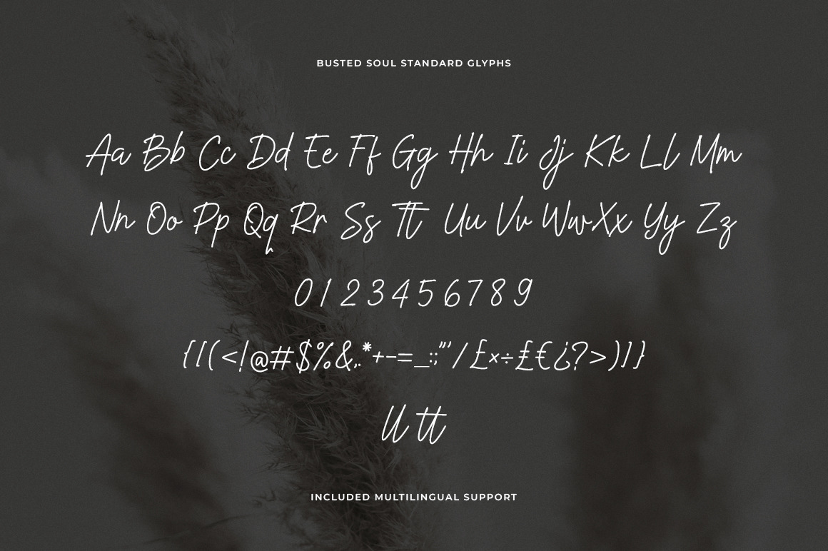 Busted Soul - Modern Script Font Busted Soul - Modern Script Font