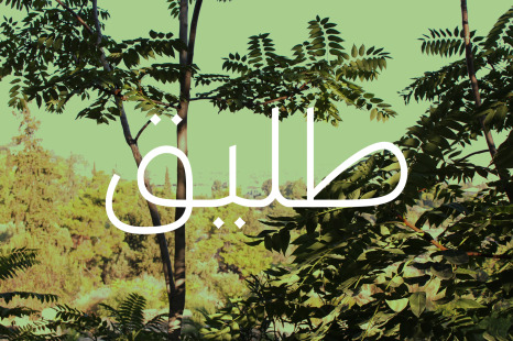 Taleeq - Arabic Typeface - Calligraphy arabic font