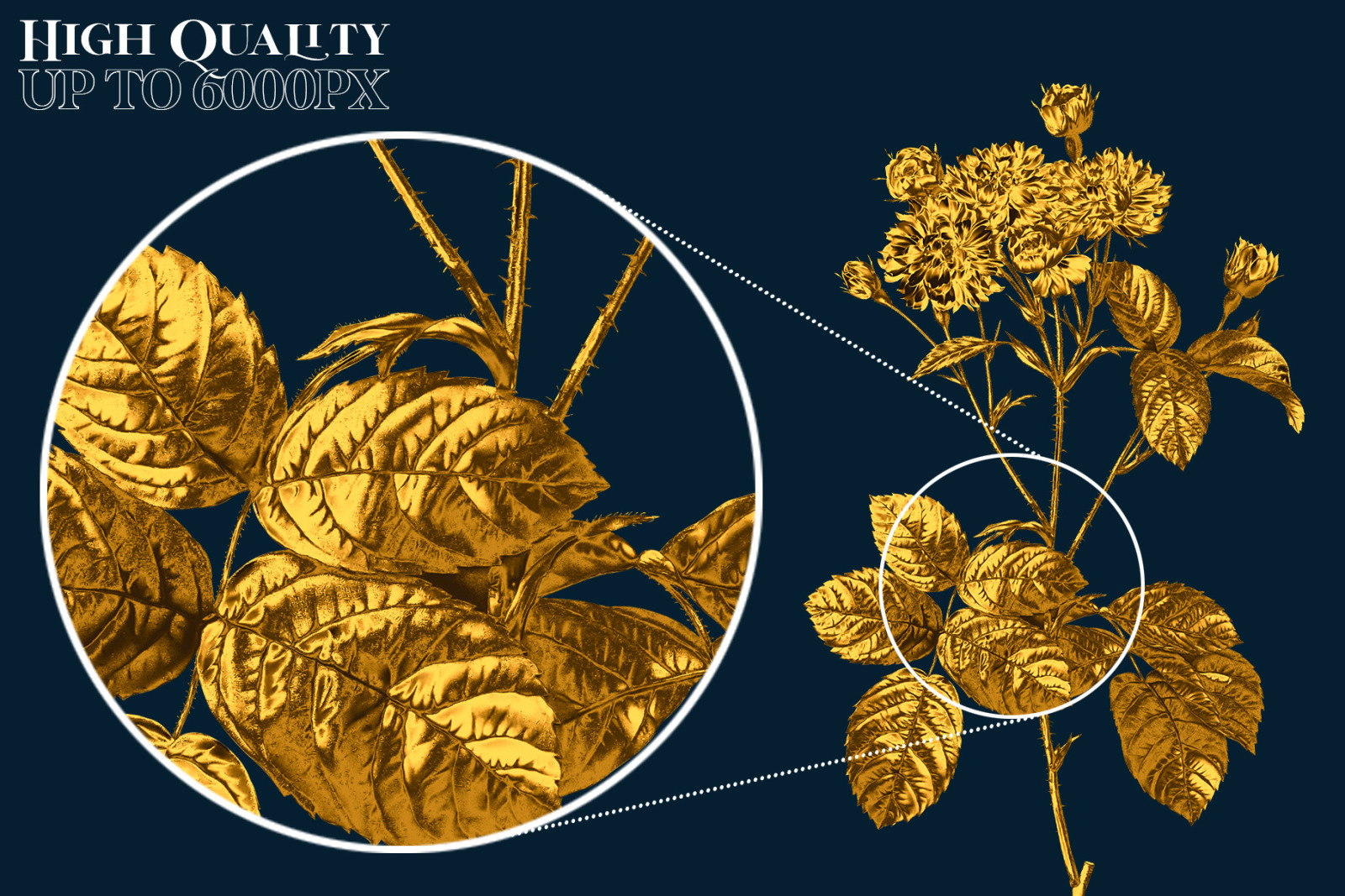 Golden Garden - 186 Roses & Flowers PNG Clipart Set Golden Garden - 186 Roses & Flowers PNG Clipart Set