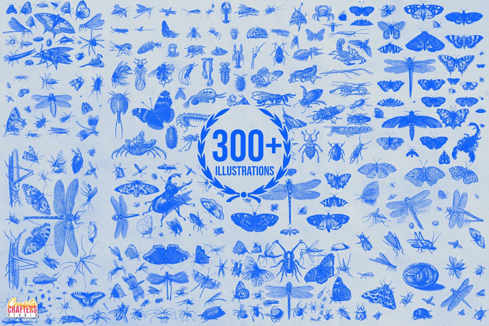 300+ Vintage Insects & Bugs Etchings Illustrations & Overlays 300+ Vintage Insects & Bugs Etchings Illustrations & Overlays