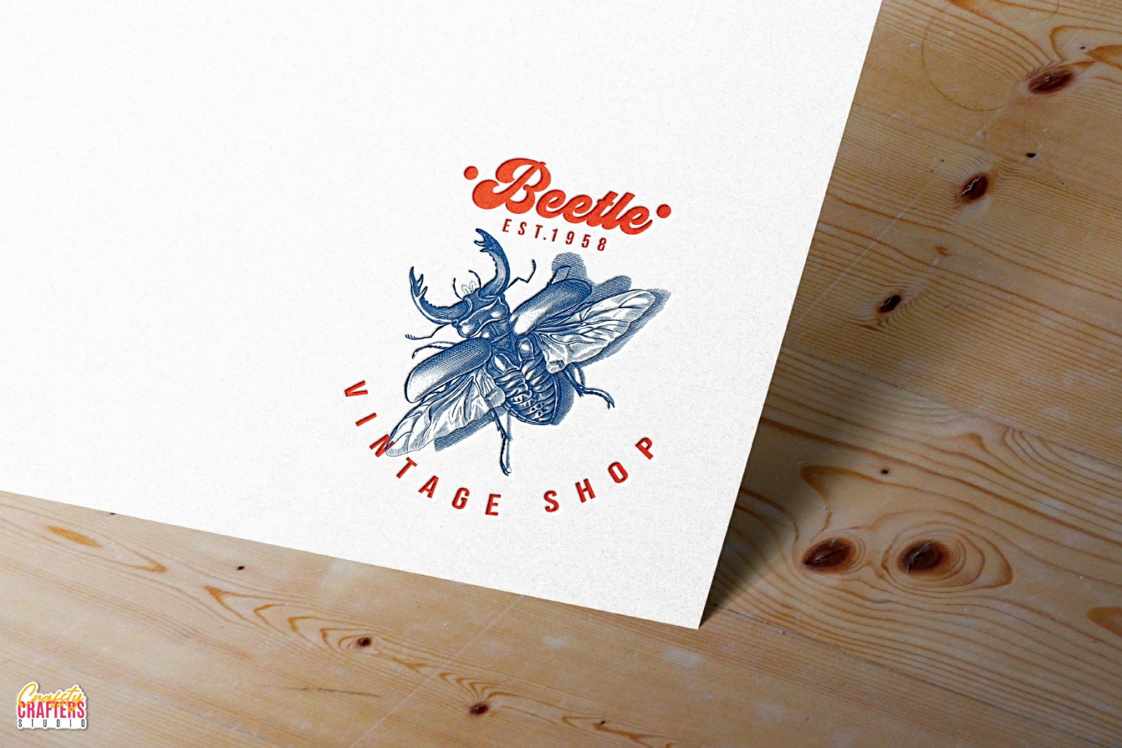 300+ Vintage Insects & Bugs Etchings Illustrations & Overlays 300+ Vintage Insects & Bugs Etchings Illustrations & Overlays