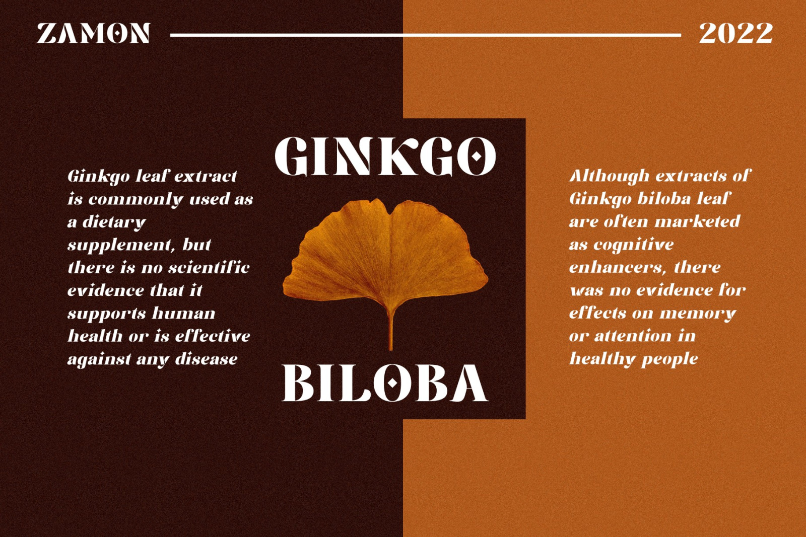 Zamon Modern Serif Zamon Modern Serif