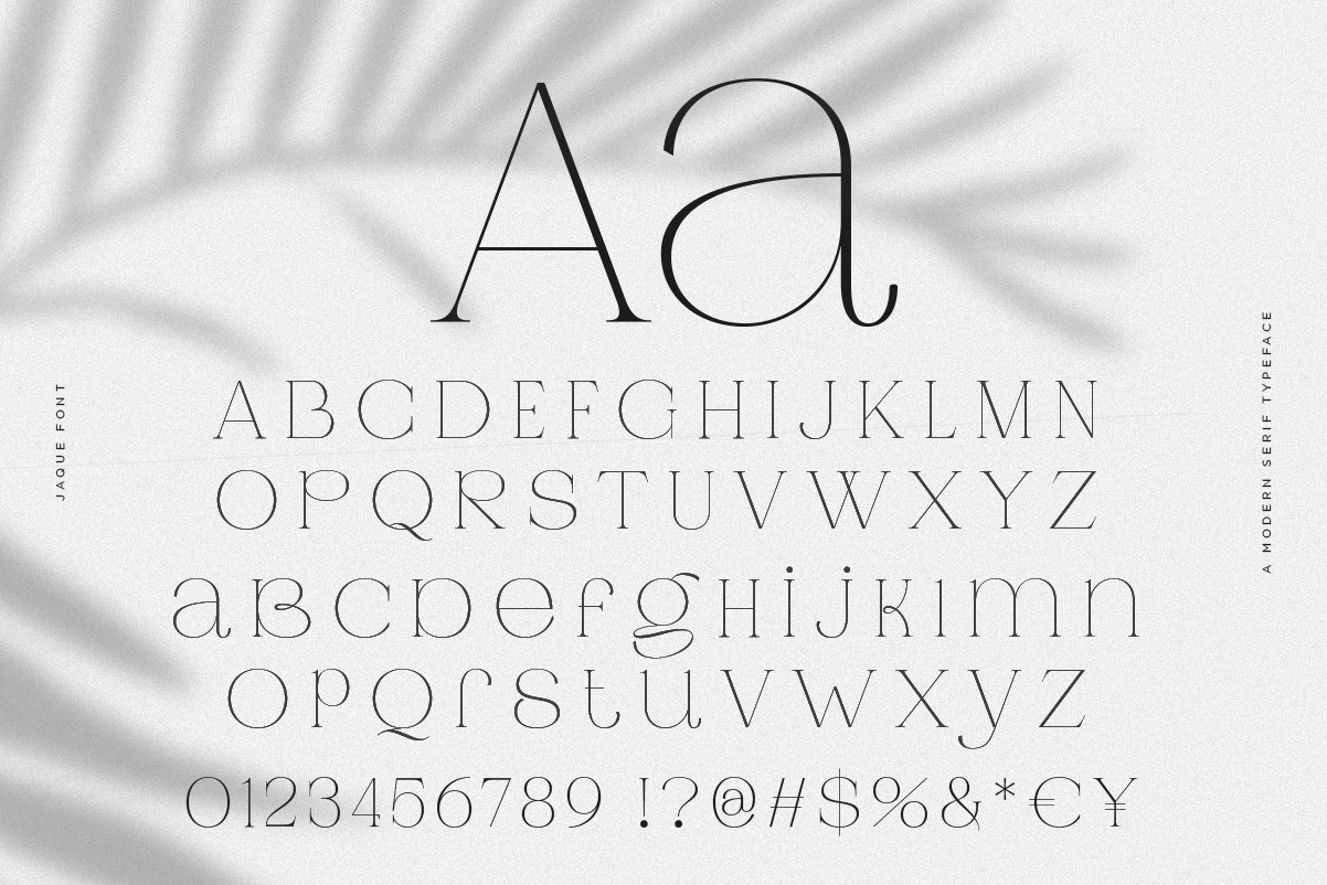 Jaque | Royal Serif Jaque | Royal Serif