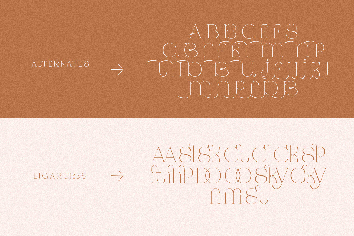 Jaque | Royal Serif Jaque | Royal Serif
