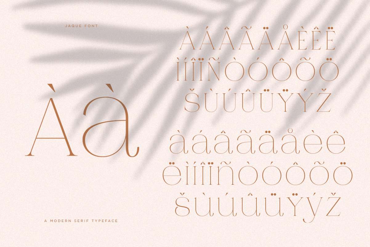 Jaque | Royal Serif Jaque | Royal Serif