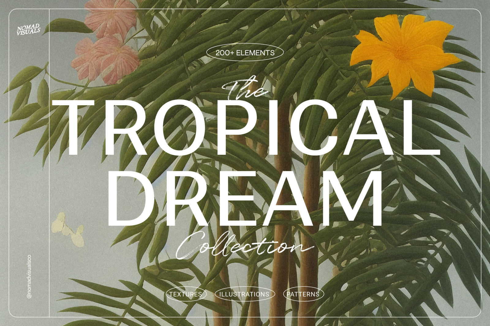 Tropical Dream Tropical Dream