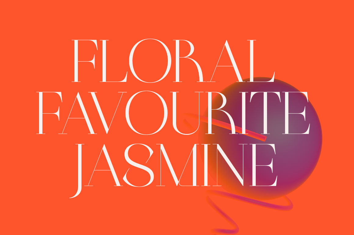 Braston - Elegant Serif Font Braston - Elegant Serif Font
