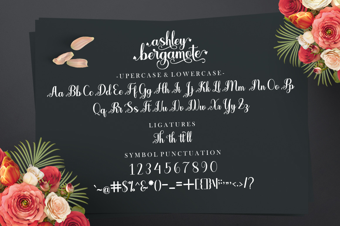 Ashley Bergamote Font Ashley Bergamote Font