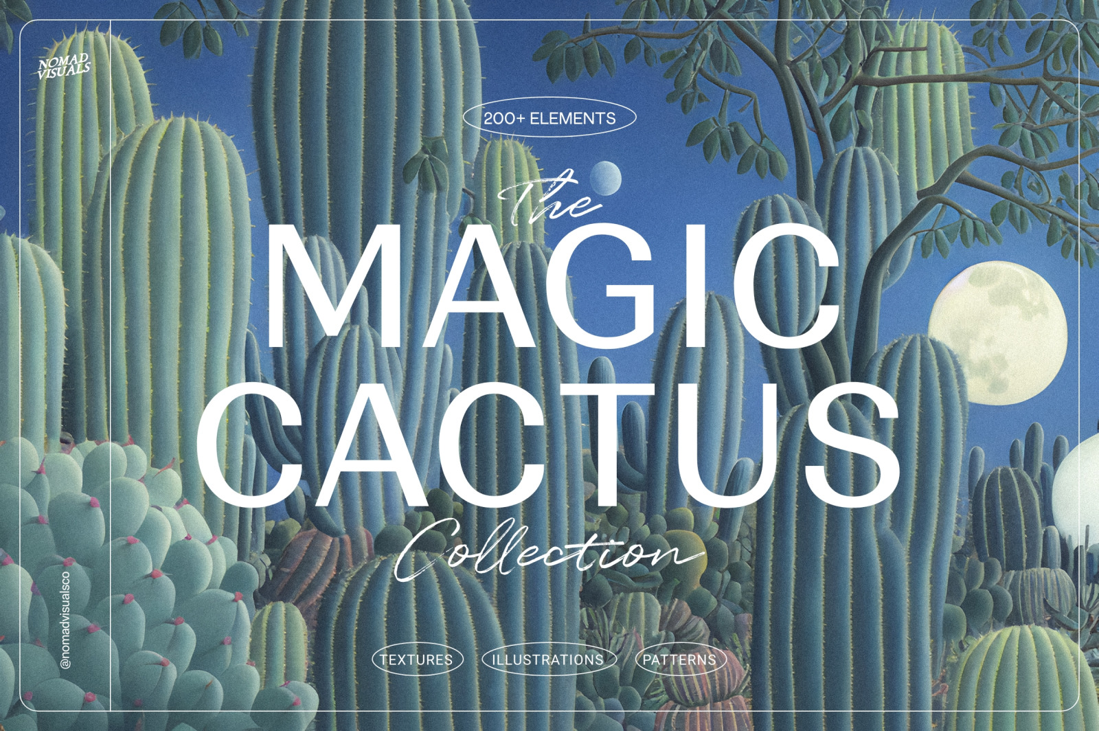 Magic Cactus Magic Cactus