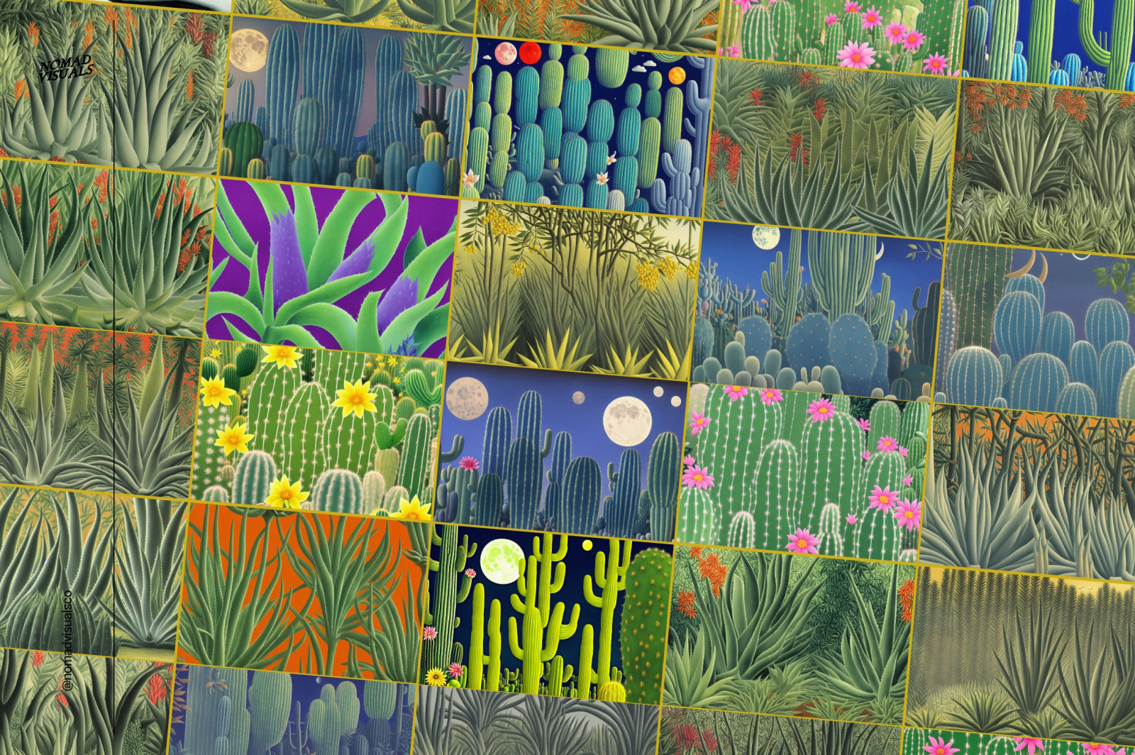 Magic Cactus Magic Cactus