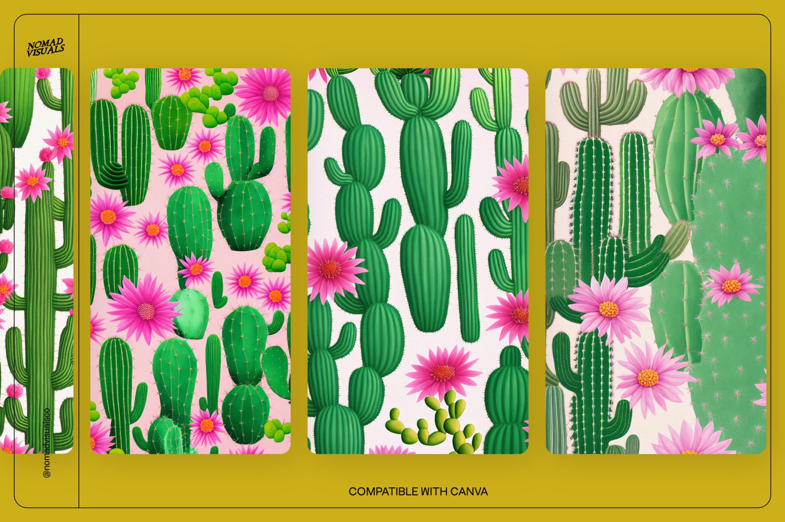 Magic Cactus Magic Cactus