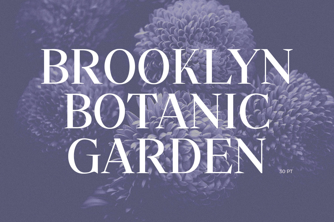 Savinder Font Savinder Font