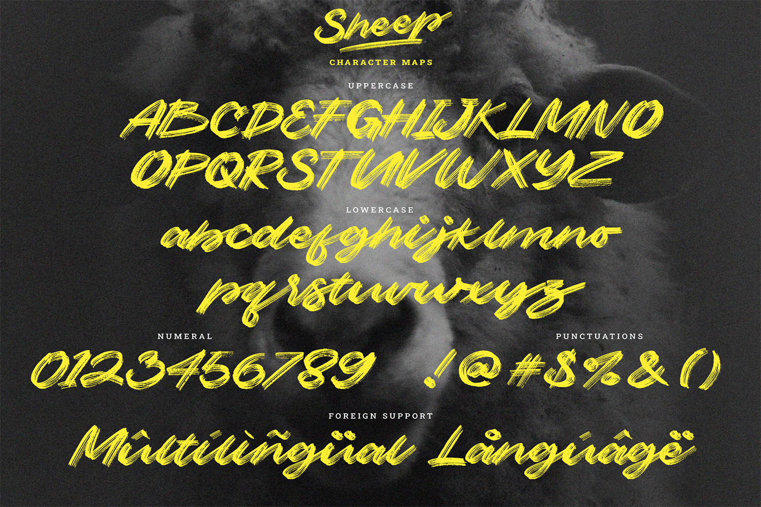 Sheep | Dry Brush Script Font Sheep | Dry Brush Script Font