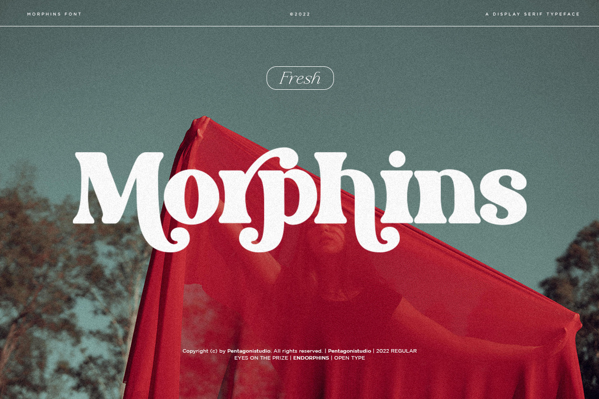 Morphins | Display Serif Morphins | Display Serif